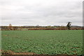 View over farmland towards River Stour in DT11 9ED