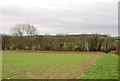 Farmland near Shapwick Source in DT11 9LB
