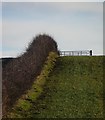 Farmland by Loch Ascog, Isle of Bute in PA20 9LJ