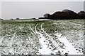 Snow covered field at Combe Haven in TN40 2QP
