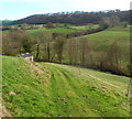 Track from Slad Road to Slad Brook, Stroud in GL5 1XA