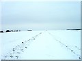 Snowy track in PE28 9PJ