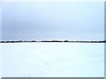 Snowy field in PE28 9PJ