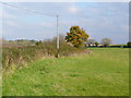 Fields by the Abberton Road in WR10 2NP