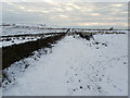Snowbound Track heading towards Simpshey Hill in West Bradford & Grindleton Ward
