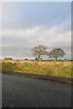 Roadside & Fields - Park Lane - Maghull in L31 6BT