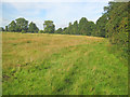 Public footpath near Thorney Hall in Thorney