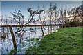 Flooded drainage channel and fields in SN12 6PT