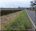 Grass verge along the A426 Lutterworth Road in LE17 5LG