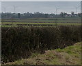 View towards Low Spinney Wind farm in LE17 5LG