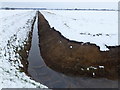 Black dike crossing white fen in Chatteris North & Manea Ward