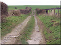 Byway over Hunts Down to the Harewarren in SP2 0ES