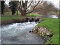 River Ebble near Odstock Church in SP5 4HP