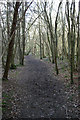 The Greensand Way in Moat Wood in ME18 5HE