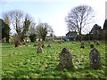 Long Crichel, churchyard in BH21 5LD