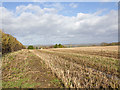 Stubble field east of Croft Lane in B49 6PA