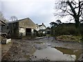 Pheasant Field Farmyard in Borwick