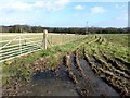 Muddy path near Upper Ashgate Farm in S42 7JF