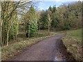 Footpath through Oversley Wood in B49 6EB