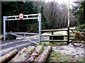 Forestry Track Gateway in DT2 7HP