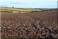 Tracks across bare field in SP6 2DP