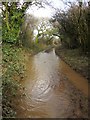 Puddle near Stanborough in TQ9 7JE