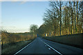 A31 skirting Charborough Park in DT11 9EQ