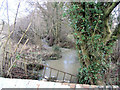 Tributary of the River Enbourne in RG26 5SW