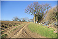 Footpath in Fruit-growing Country in TN15 9DG