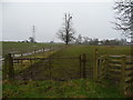 Footpath near Llanwern in NP18 2EW