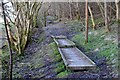 Boardwalk in Whitlaw Wood in TD9 0DZ