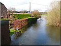 River Piddle in Spate in BH20 7NP