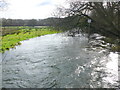 River Piddle In Spate in BH20 7LS