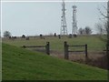Stone Circle at Berryhill Fields in ST3 5XR