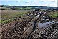 Muddy field entrance in WR6 5BJ
