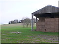 Barn on Bloxworth Down in DT11 9BT