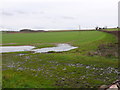 Waterlogged Field near Botany Bay Farm in DT11 9EY