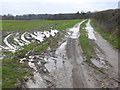 Muddy Track to Waterley Wood in BH20 7EF