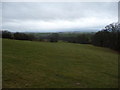 Large sloping pasture below Llanishen, Monmouthshire in NP16 6QD