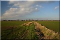 Grunty Fen fields in CB6 3QE