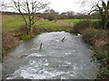 Bere Stream at Snatford Bridge in BH20 7NR