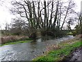 Bere Stream at Tanpit Bridge in BH20 7LT