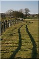 Fence and Pasture, Thorpe Beck in TS21 3LE