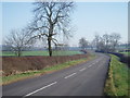 The road from Kibworth looking towards Tur Langton in Kibworths Ward