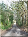 Pells Lane looking towards West Kingsdown in TN15 6AU