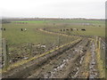 Farmer's track with public footpath status from Ferryhill down to Low Spennymoor in DL16 7GR