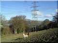Farmland near Gilwern in Llanelly Community