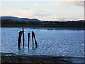 A ruined pier, South Alloa in FK7 7NJ