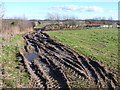 Muddy farm Track in BH20 6EF