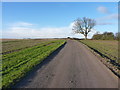 Bridleway towards Old Park Farm in Ashby Money Hill Ward